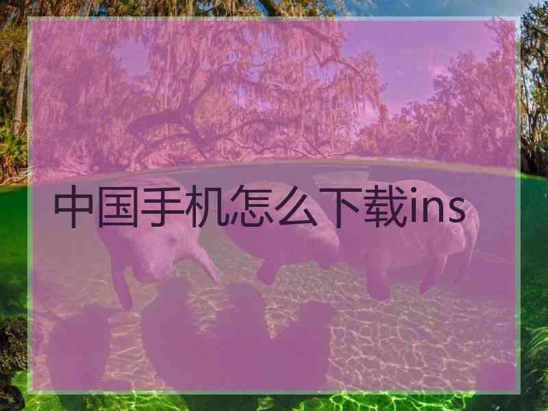 中国手机怎么下载ins