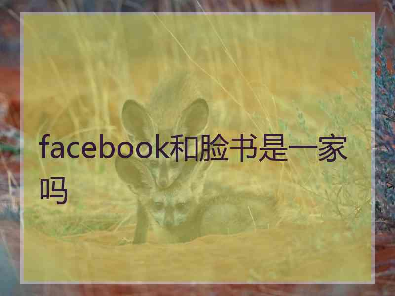 facebook和脸书是一家吗