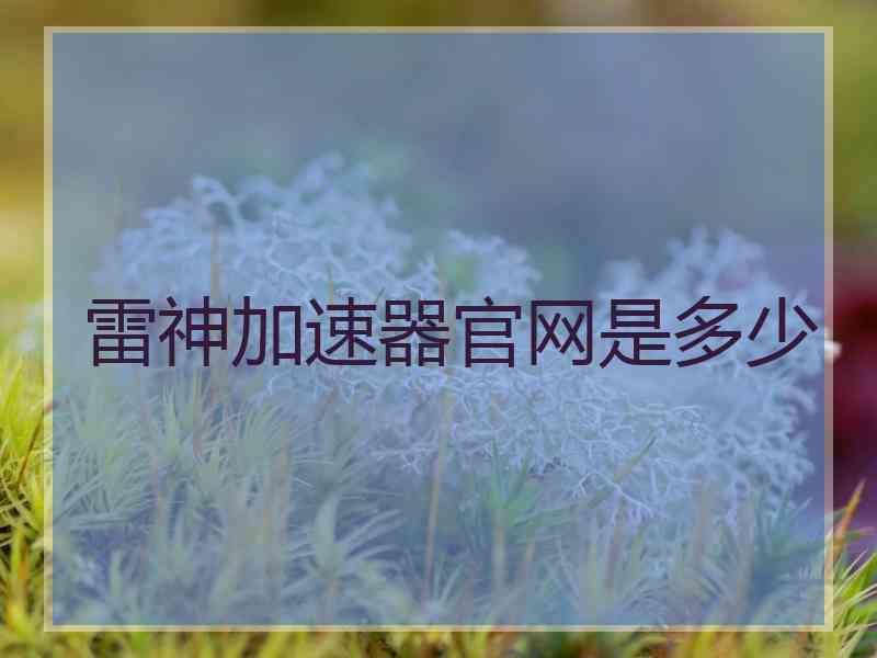 雷神加速器官网是多少