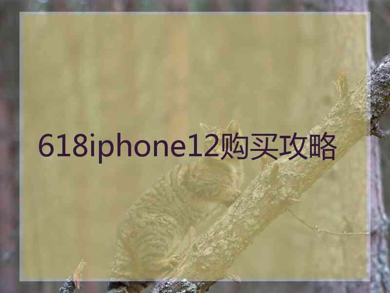 618iphone12购买攻略