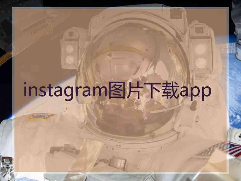 instagram图片下载app