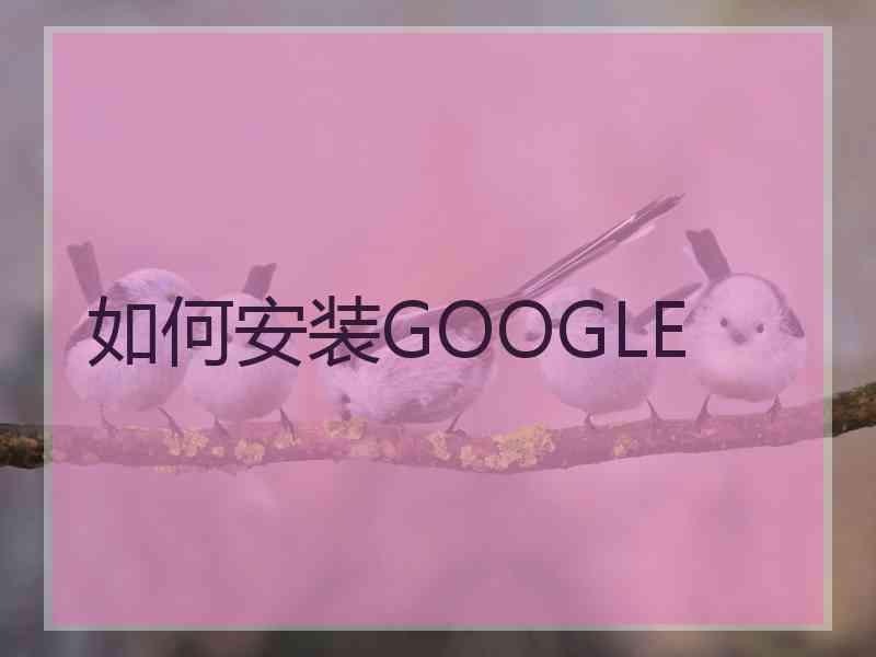 如何安装GOOGLE