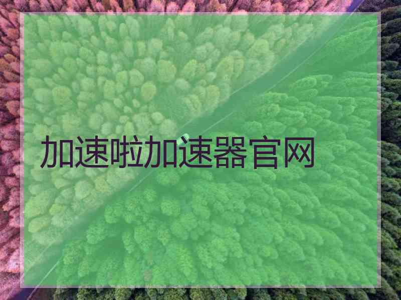 加速啦加速器官网