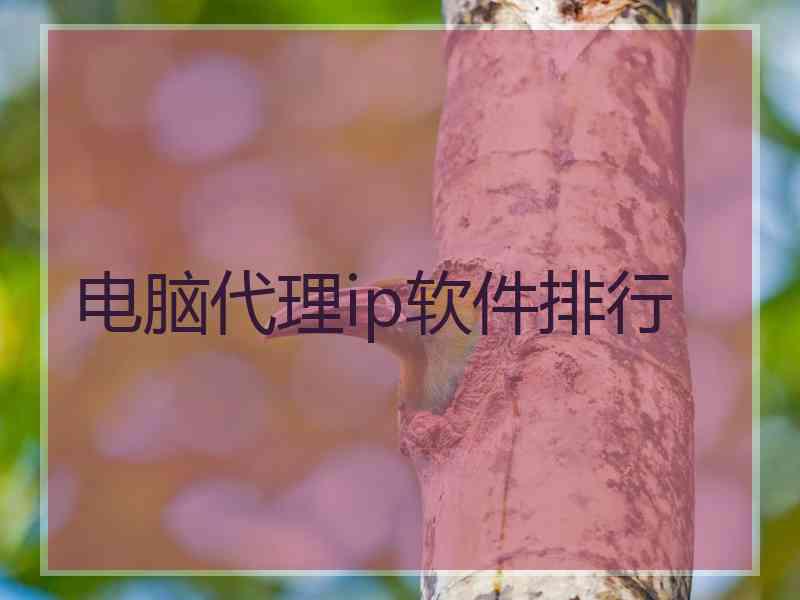 电脑代理ip软件排行