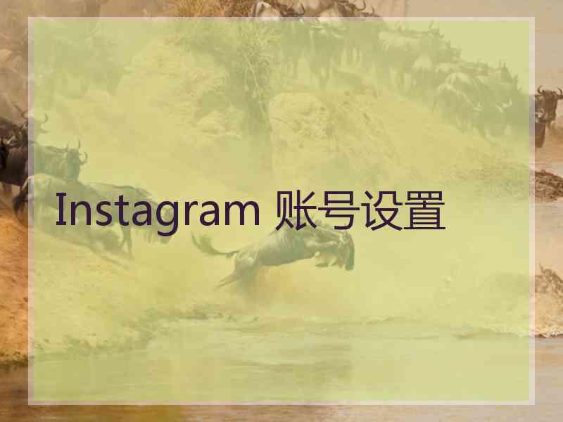 Instagram 账号设置