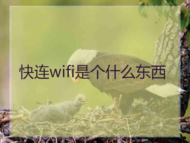 快连wifi是个什么东西