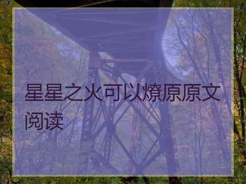 星星之火可以燎原原文阅读