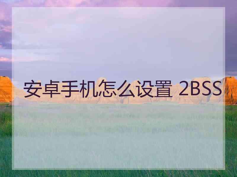 安卓手机怎么设置 2BSS