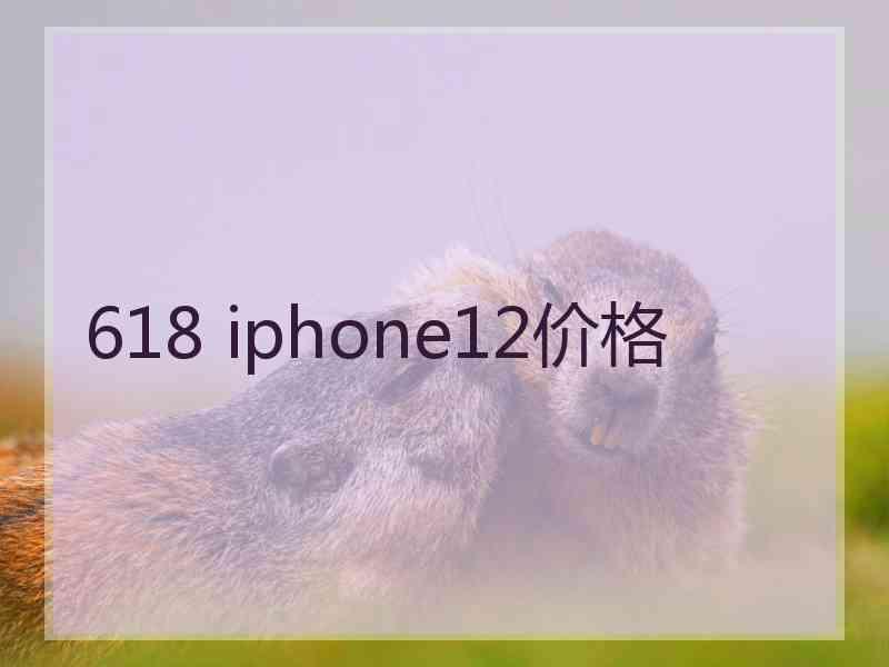 618 iphone12价格