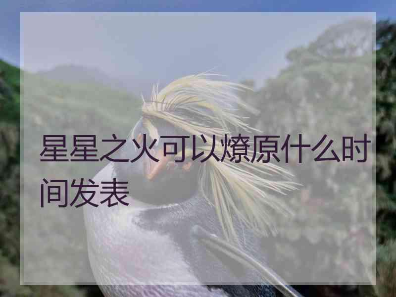 星星之火可以燎原什么时间发表