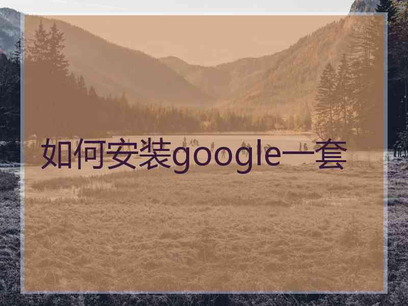 如何安装google一套