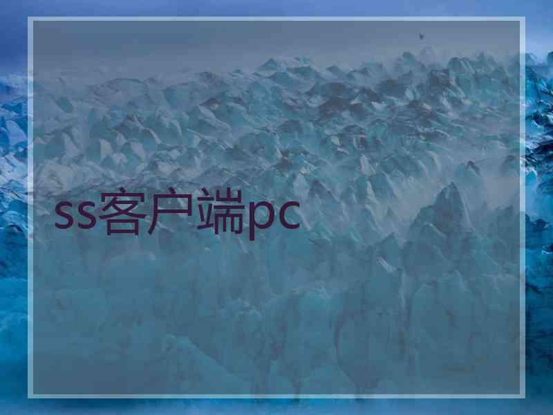 ss客户端pc