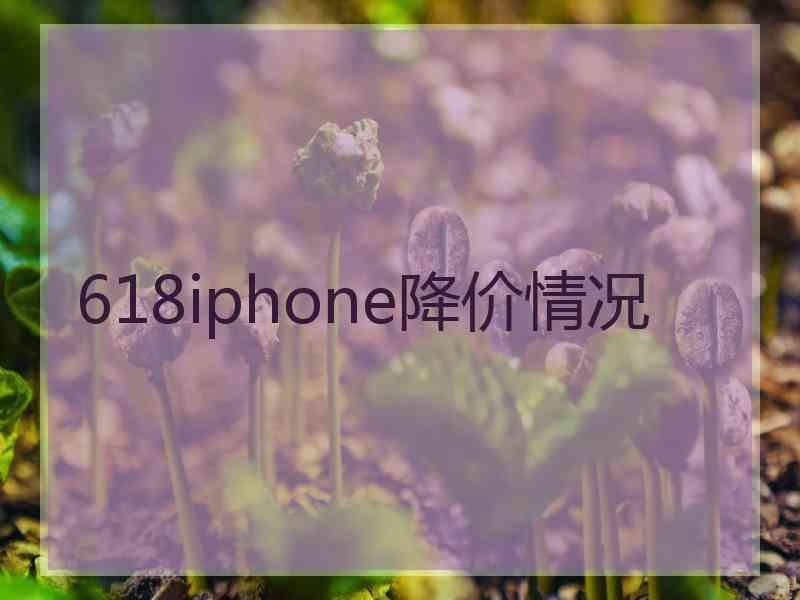 618iphone降价情况